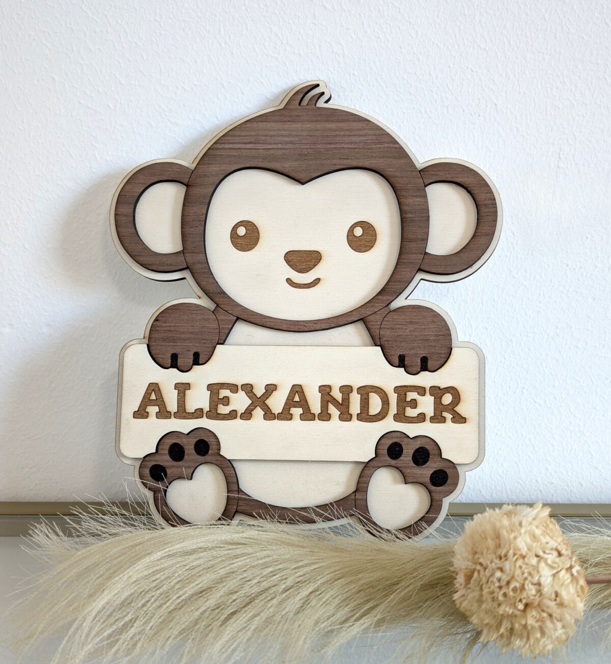 2025-03-06-11-20-09-530 Türschild - Affe – Bild 1